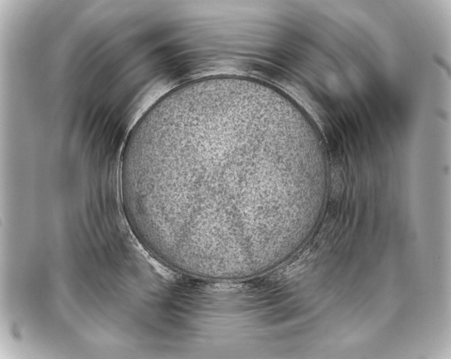 X0000098071290200804181123