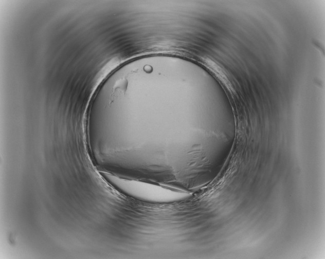 X0000098071291200804181123