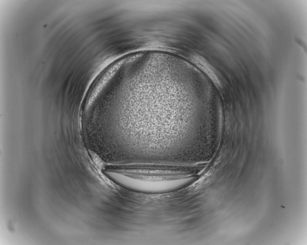 X0000098071292200804181123