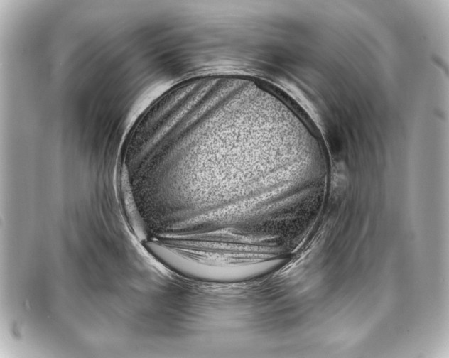 X0000098071293200804181123