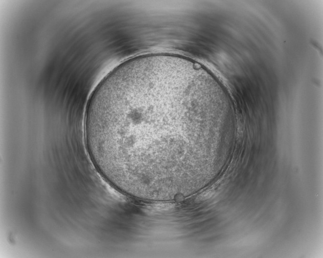 X0000098071294200804181123