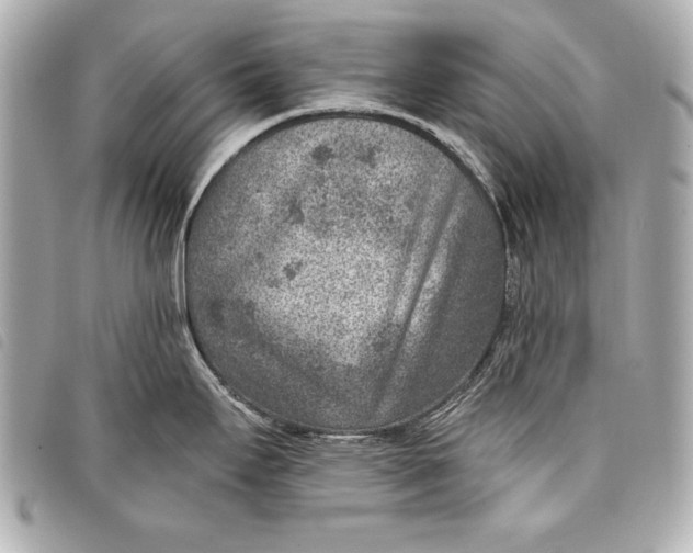 X0000098071295200804181123