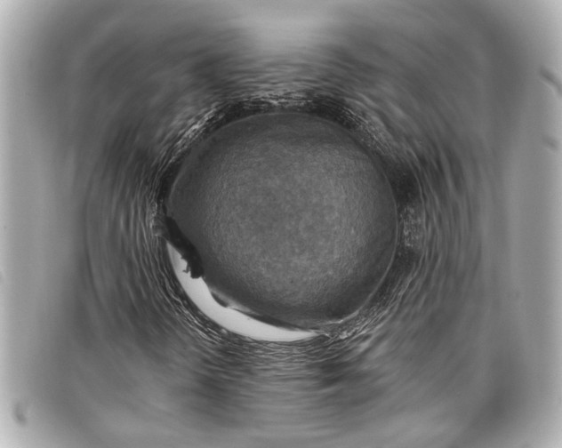 X0000098071298200804181122