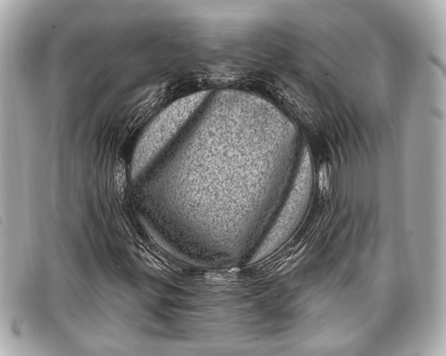 X0000098071299200804181122