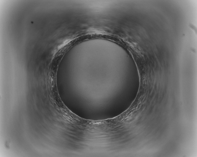 X0000098071303200804181122