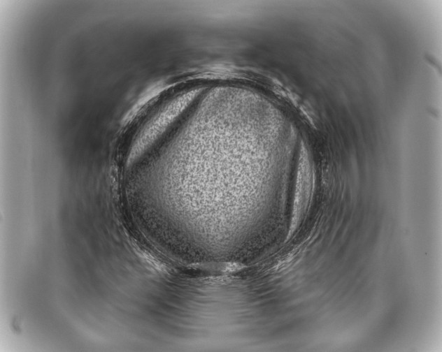 X0000098071304200804181122