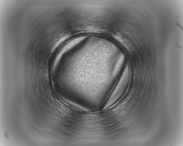 X0000098071307200804181122