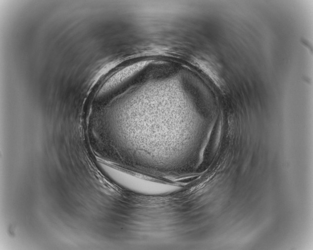 X0000098071308200804181122