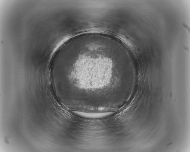 X0000098071310200804181122