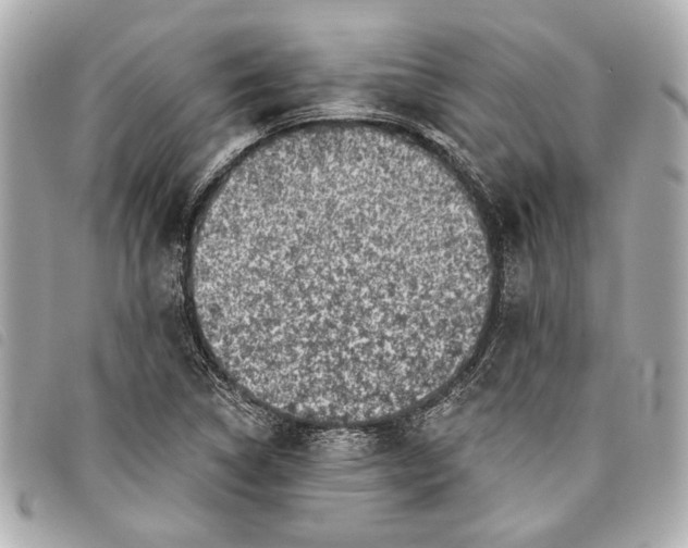 X0000098071314200804181122