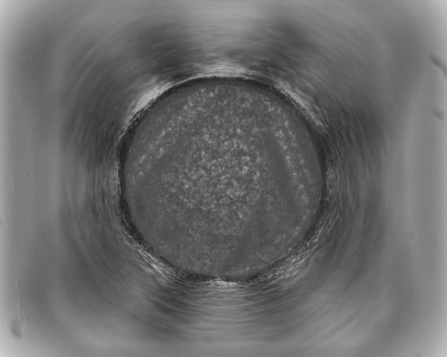 X0000098071315200804181122