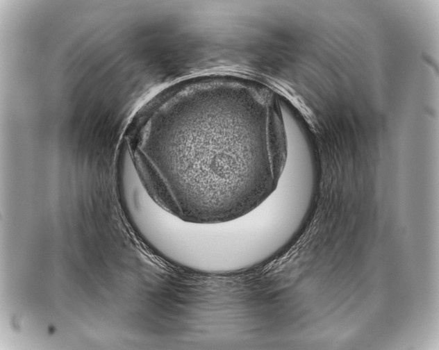 X0000098071316200804181122