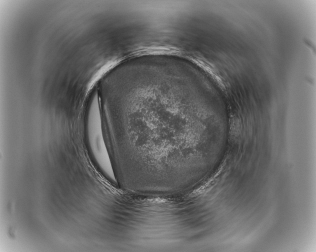 X0000098071317200804181122