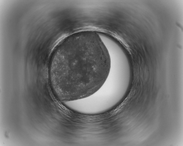 X0000098071318200804181122