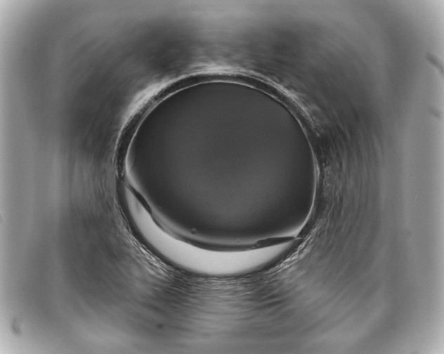 X0000098071319200804181122