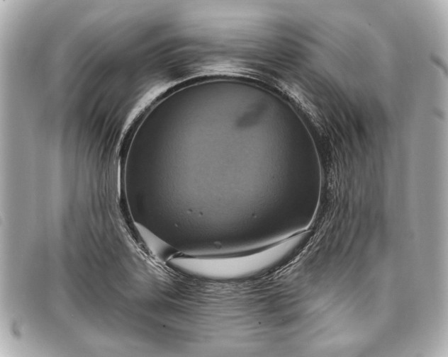 X0000098071323200804181122