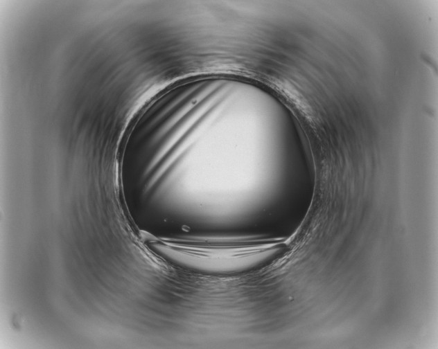 X0000098071324200804181122