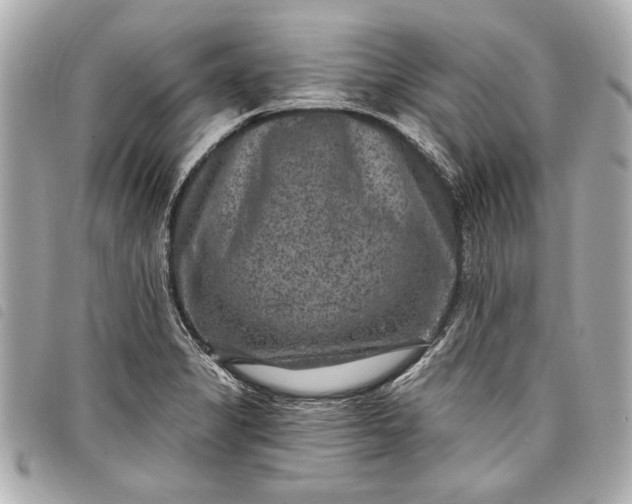 X0000098071325200804181122