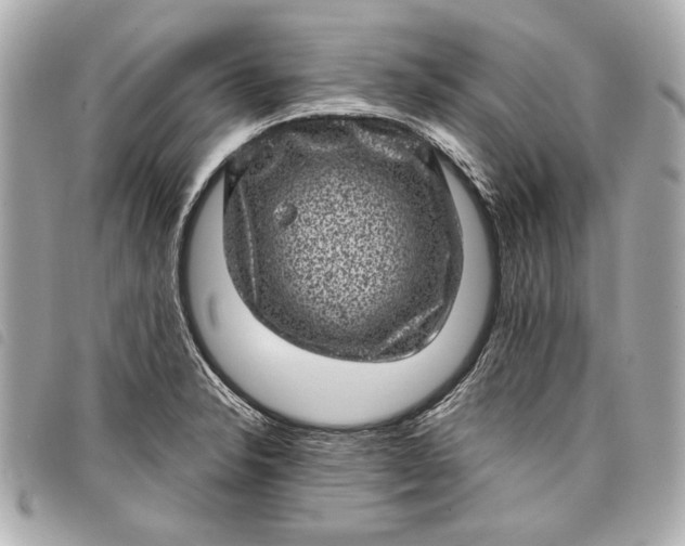 X0000098071326200804181122