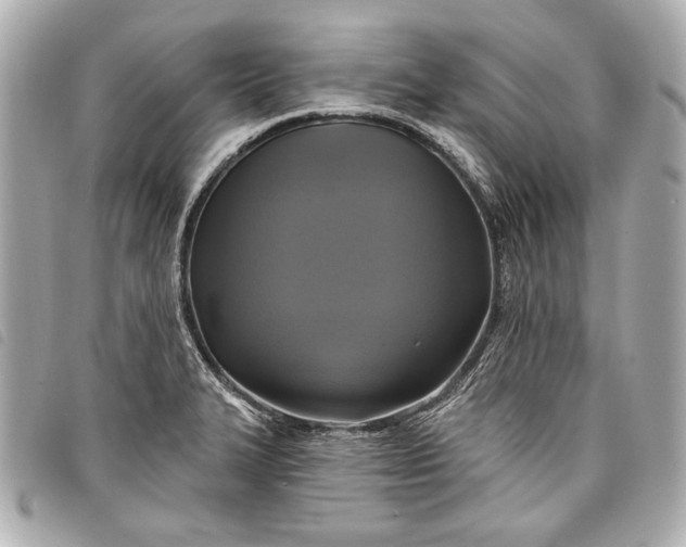 X0000098071327200804181122