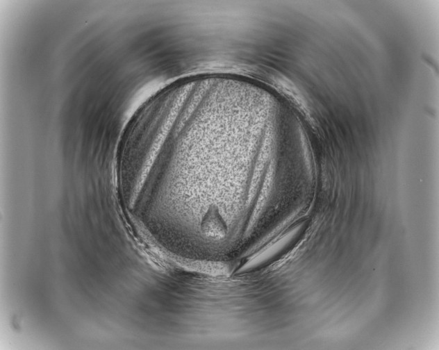 X0000098071328200804181122