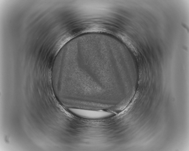 X0000098071329200804181122