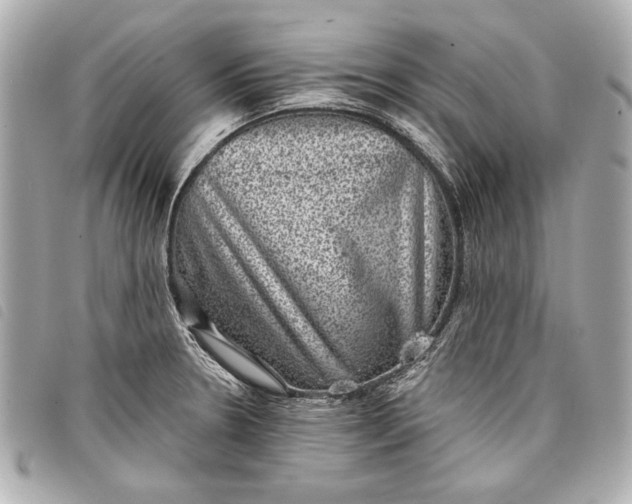 X0000098071330200804181122