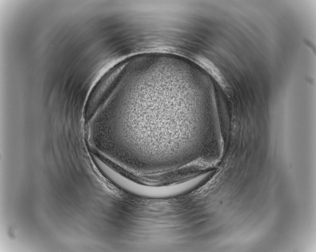 X0000098071332200804181122