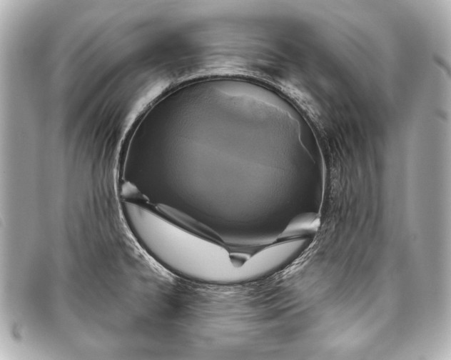 X0000098071334200804181122