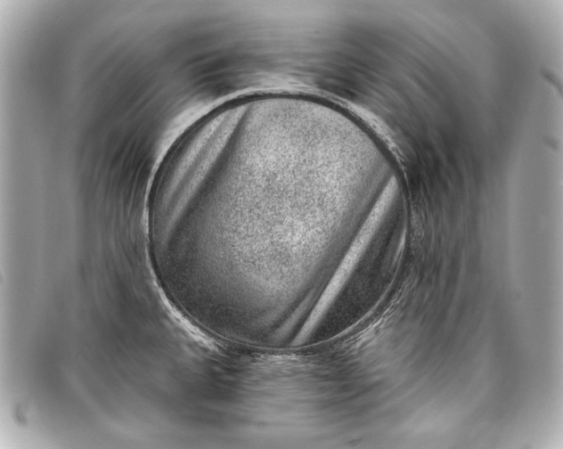 X0000098071335200804181122