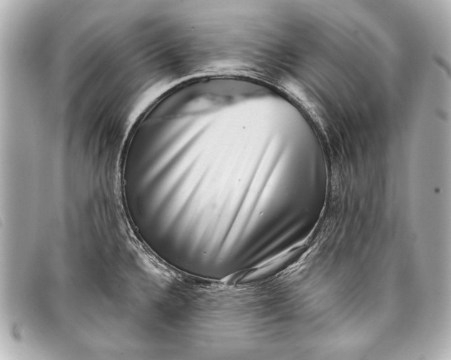 X0000098071336200804181122