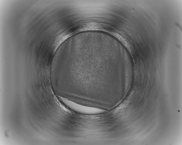 X0000098071337200804181122