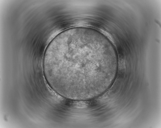 X0000098071338200804181122