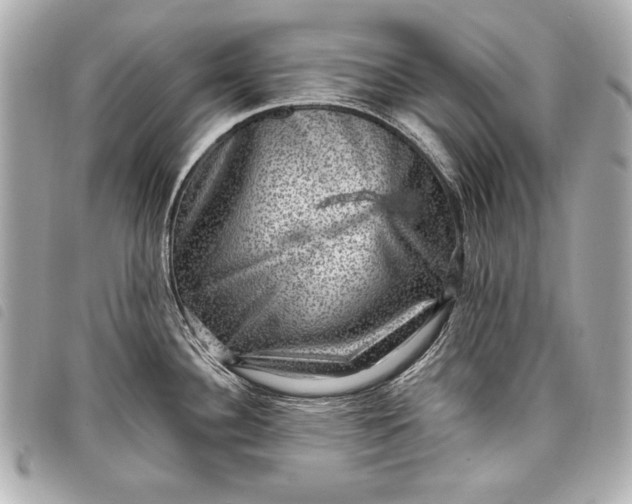 X0000098071340200804181123