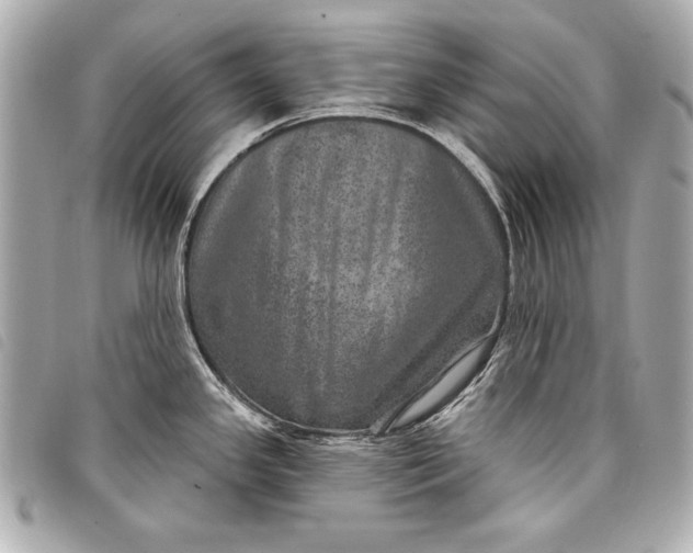 X0000098071341200804181123