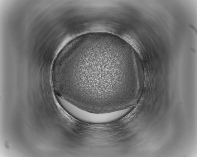 X0000098071342200804181123