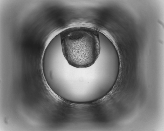 X0000098071344200804181123