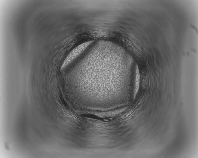 X0000098071345200804181122