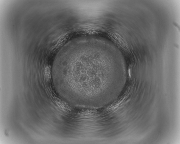 X0000098071347200804181122