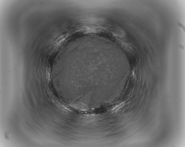 X0000098071348200804181122