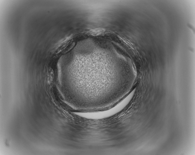 X0000098071349200804181122