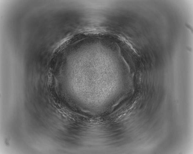 X0000098071350200804181122