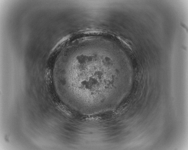 X0000098071351200804181122