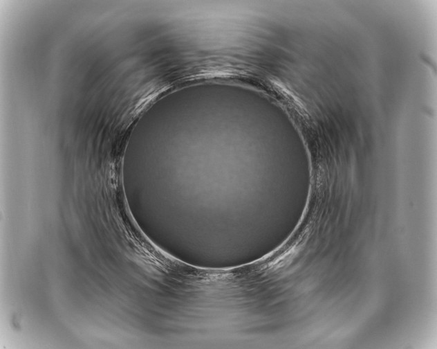 X0000098071353200804181122