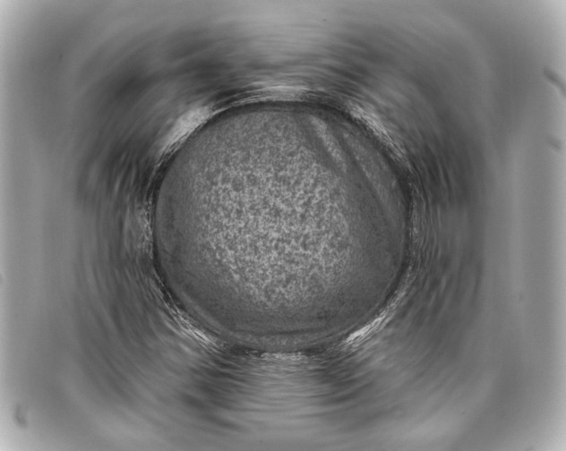 X0000098071354200804181121