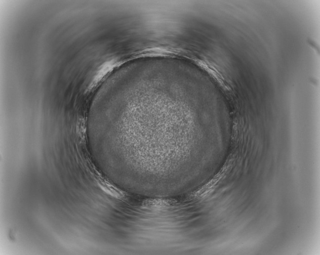 X0000098071355200804181121