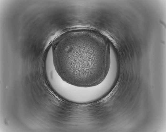 X0000098071357200804181121