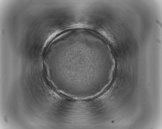 X0000098071358200804181121