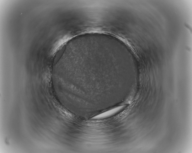 X0000098071359200804181121