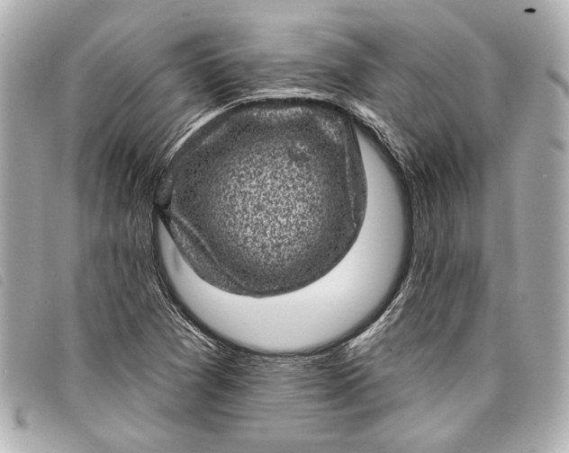 X0000098071361200804181121